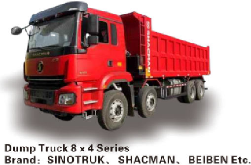 Série de camion à virure 8x4